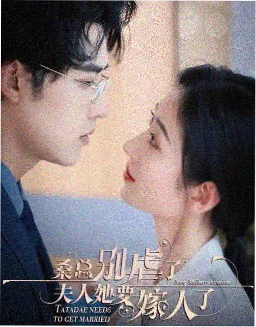 铁拳电影票房突破5亿